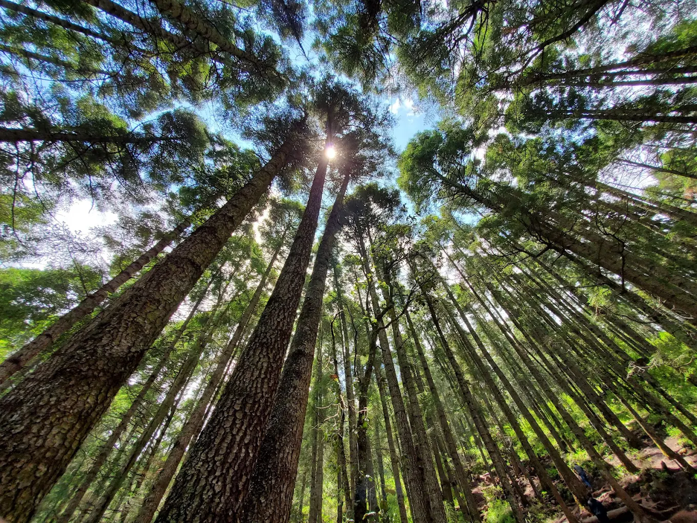 Naturaleza y Caminatas